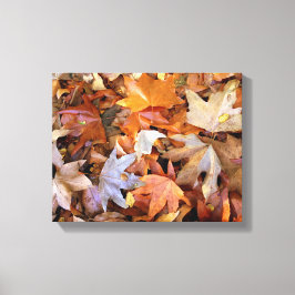 Herfstbladeren Canvas Wandkunst Afdruk