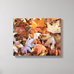 Herfstbladeren Canvas Wandkunst Afdruk