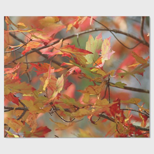 Herfstbladeren dansen cadeaupapier (Vlak)