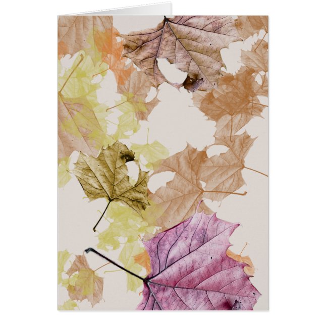 "herfstbladeren die"… voor u vallen WENSKAART (Voorkant)