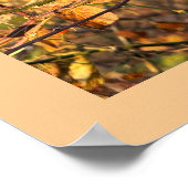Herfstbladeren en bessen Poster (Hoek)