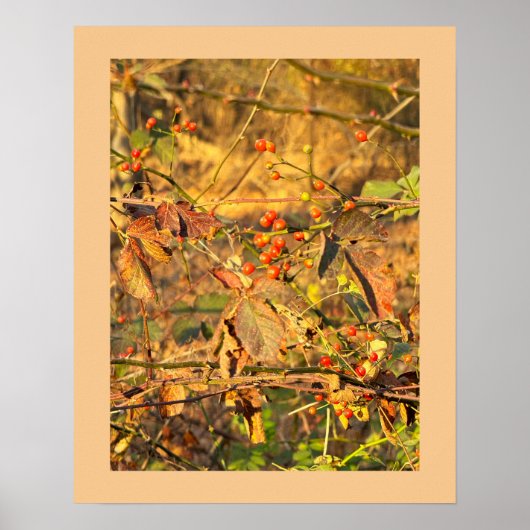 Herfstbladeren en bessen Poster (Voorkant)