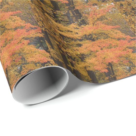 Herfstbladeren en bomen cadeaupapier (Rol Hoek)