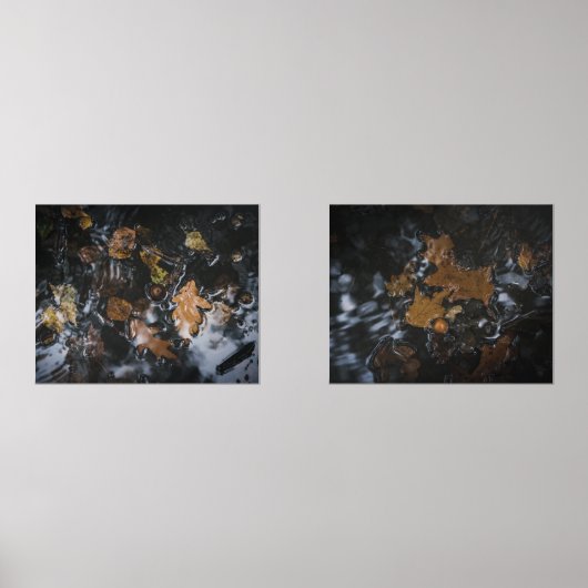 Herfstbladeren en eikels in mysterieuze wateren muurkunst sets (Voorkant)