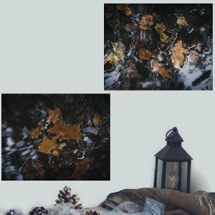 Herfstbladeren en eikels in mysterieuze wateren muurkunst sets