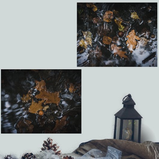 Herfstbladeren en eikels in mysterieuze wateren muurkunst sets