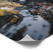 Herfstbladeren en eikels in mysterieuze wateren poster (Hoek)