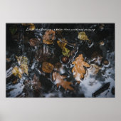 Herfstbladeren en eikels in mysterieuze wateren poster (Voorkant)