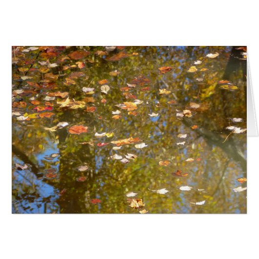Herfstbladeren en stroomreflectie in Greenbelt (Voorkant Horizontaal)