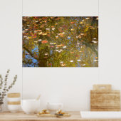 Herfstbladeren en stroomreflectie in Greenbelt Poster (Keuken)