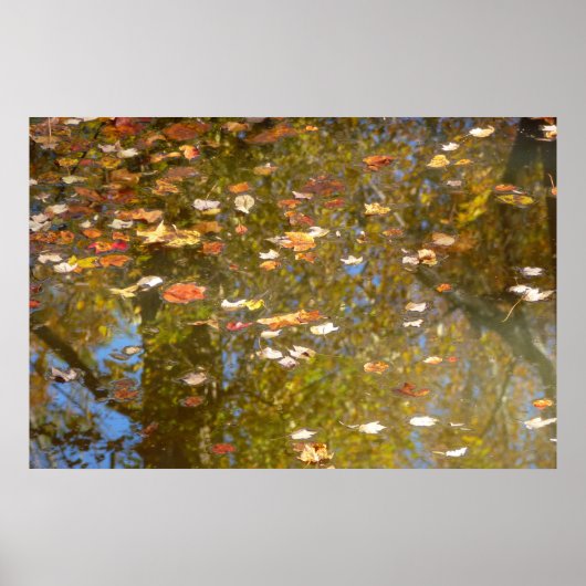 Herfstbladeren en stroomreflectie in Greenbelt Poster (Voorkant)