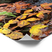 Herfstbladeren en Waterval Foto Poster (Hoek)