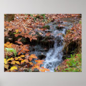 Herfstbladeren en Waterval Foto Poster (Voorkant)