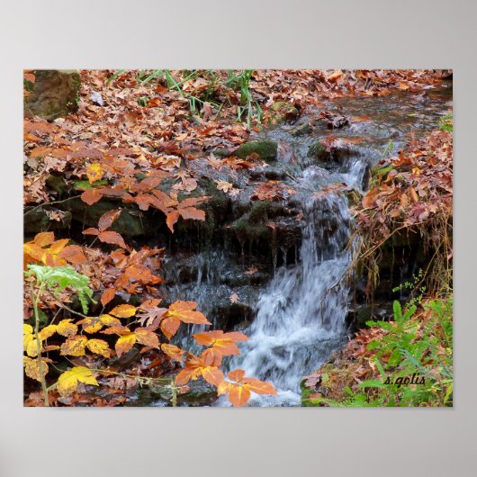 Herfstbladeren en Waterval Foto Poster (Voorkant)