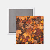 Herfstbladeren Foto Magneet (Voorkant / Achterkant)