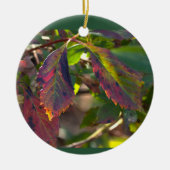 Herfstbladeren Foto Ornament (Voorkant)