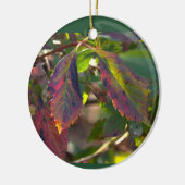 Herfstbladeren Foto Ornament (Links)