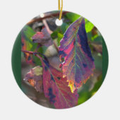 Herfstbladeren Foto Ornament (Voorkant)