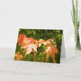 Herfstbladeren Gloeiende Kaart