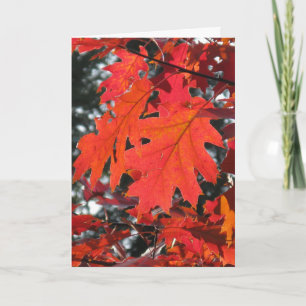 HERFSTBLADEREN HELLO WENSKAART KAART