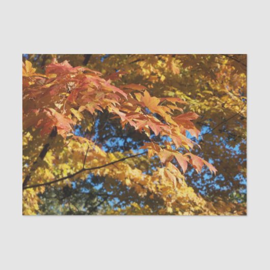 Herfstbladeren Herfst Ambacht Tissuepapier (Voorkant)