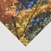 Herfstbladeren Herfst Ambacht Tissuepapier (Detail)