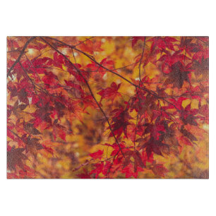 Herfstbladeren Herfst bladeren Natuur Snijplank