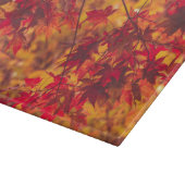 Herfstbladeren Herfst bladeren Natuur Snijplank (Hoek)