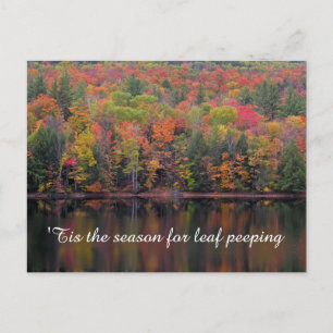 herfstbladeren Herfst kleur scène Briefkaart
