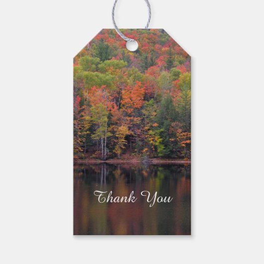 herfstbladeren Herfst kleur scène geschenk Label Cadeaulabel (Voorkant)