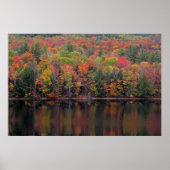 herfstbladeren Herfst kleur scène Poster (Voorkant)