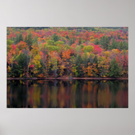 herfstbladeren Herfst kleur scène Poster