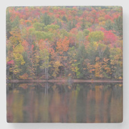 herfstbladeren Herfst kleur scène steen Onderzette Stenen Onderzetter