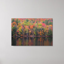 Herfstbladeren Herfst Kleurenscène Canvas Print