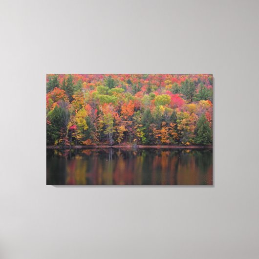 Herfstbladeren Herfst Kleurenscène Canvas Print (Voorkant)
