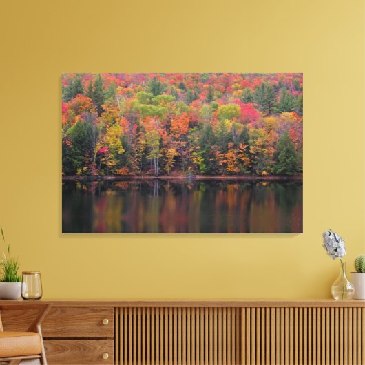 Herfstbladeren Herfst Kleurenscène Canvas Print (Insitu (Woonkamer))