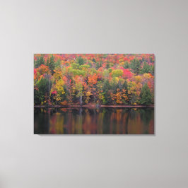 Herfstbladeren Herfst Kleurenscène Canvas Print