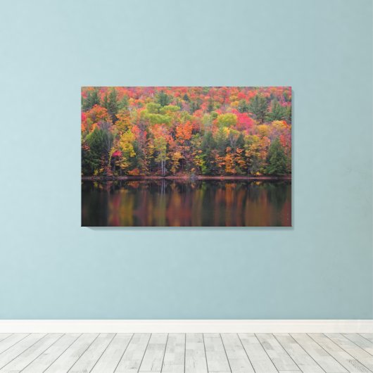 Herfstbladeren Herfst Kleurenscène Canvas Print (Insitu (Houten vloer))