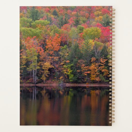 Herfstbladeren Herfst Kleurenscène Dagelijkse Plan Planner (Achterkant)