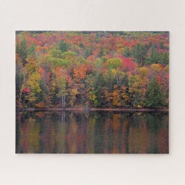 Herfstbladeren Herfst Kleurenscène Legpuzzel