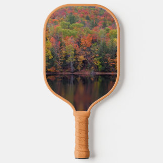 Herfstbladeren Herfst Kleurenscène Pickleball Padd Paddle