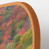 Herfstbladeren Herfst Kleurenscène Pickleball Padd Paddle (Links Detail)