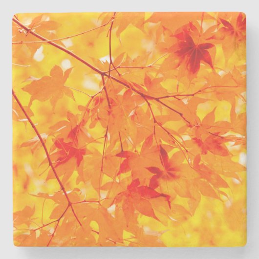 Herfstbladeren Herfst Natuur Sinaasappel Stenen Onderzetter (Voorkant)