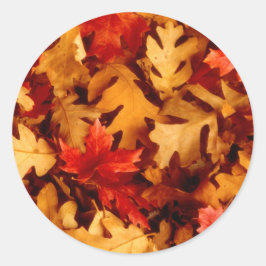 Herfstbladeren - Herfstkleuren Ronde Sticker