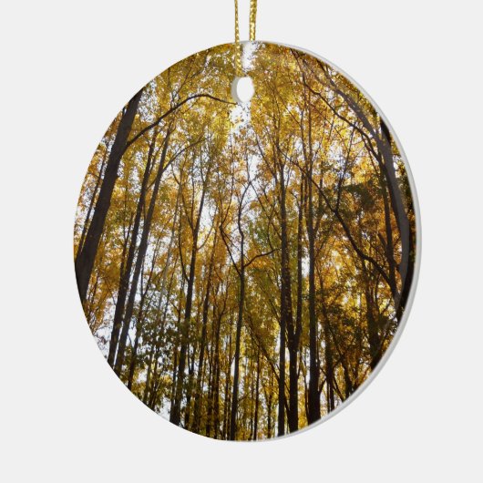 Herfstbladeren in de Morning Maryland Natuur Keramisch Ornament (Links)