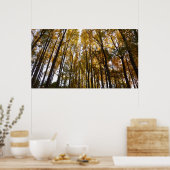 Herfstbladeren in de Morning Maryland Natuur Poster (Keuken)