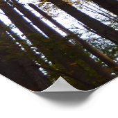 Herfstbladeren in de Morning Maryland Natuur Poster (Hoek)