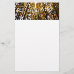 Herfstbladeren in de ochtend Maryland Natuur Briefpapier