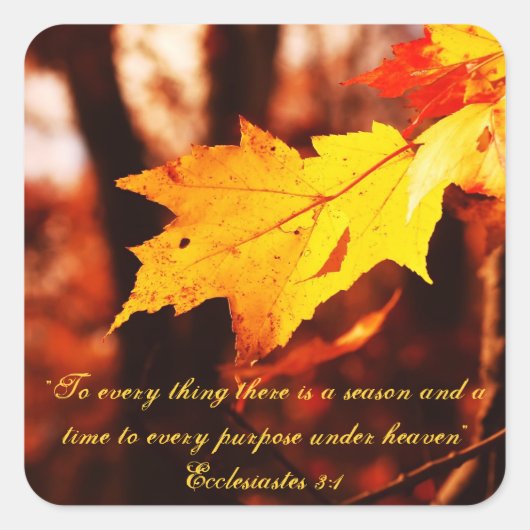 Herfstbladeren in de Poconos Stickers (Voorkant)