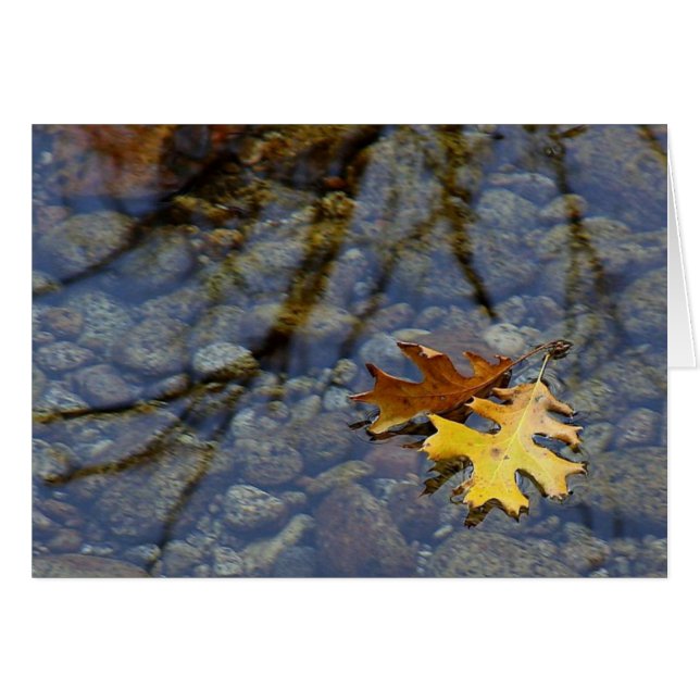 Herfstbladeren in de regen briefkaart (Voorkant Horizontaal)